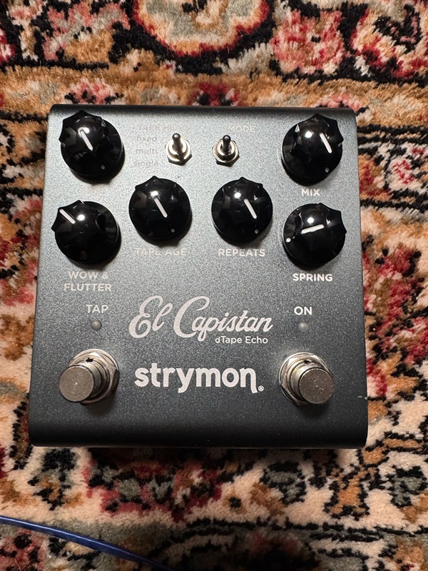 strymon El capistan (v1)の画像